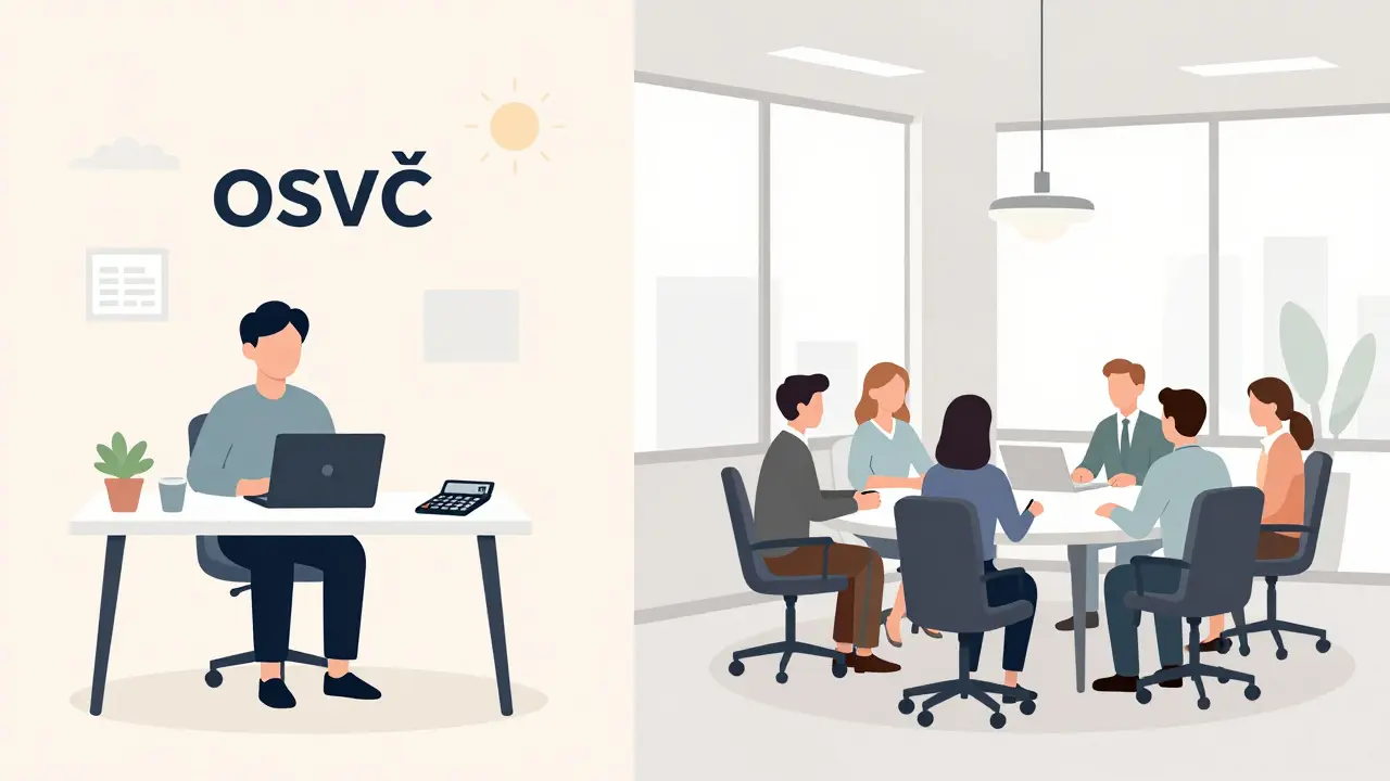 Domácí OSVČ kancelář a s.r.o. kancelář s týmovým setkáním.